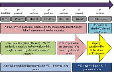 Vibrio Pathogenicity Island-1: The Master Determinant of Cholera Pathogenesis